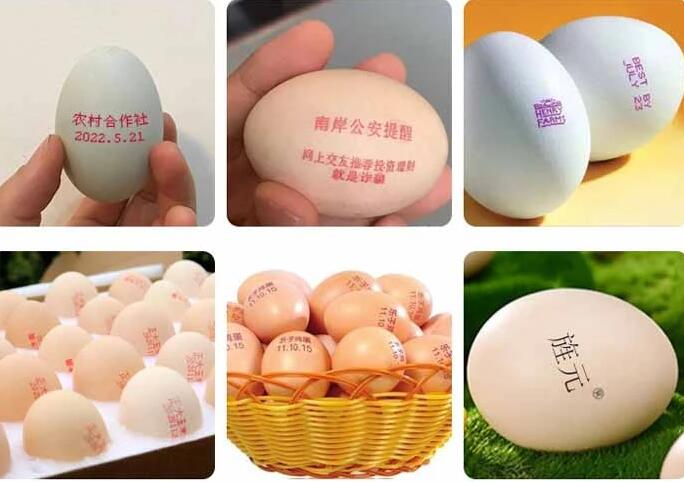 Eggshell Inkjet Printer for sale Eggshell Inkjet Printer for sale